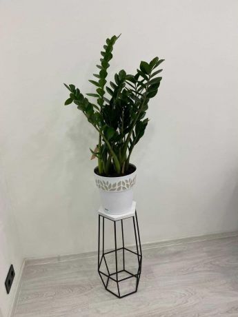 Подставка для цветов Xaden 1279