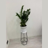 Подставка для цветов Xaden 1279